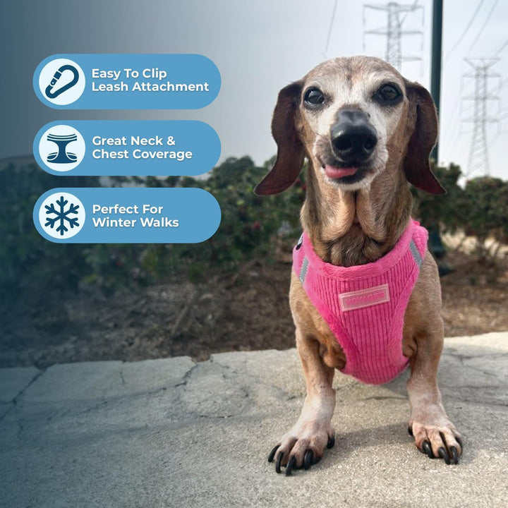 Voyager Step-in Plush Dog Harness - Soft Plush Step In Vest Harness for Small and Medium Dogs by Bes