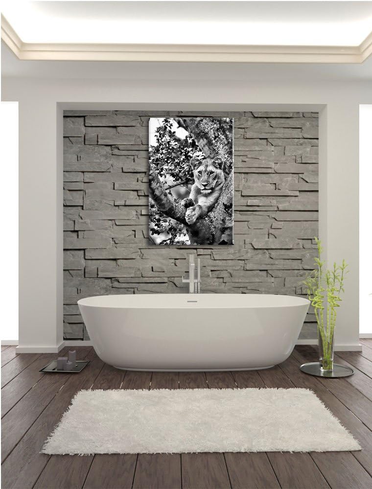 Pixxprint schöne Löwin auf Baum als Leinwandbild/Grösse: 100x70 / Wandbild/Kunstdruck/fertig bespann