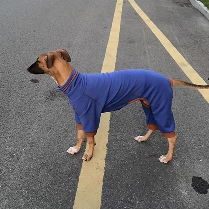 Windhund-Winterkleidung, elastisch, Whippet, vierbeinig, Fleece-Mantel, schlanker Hund, kaltes Wette
