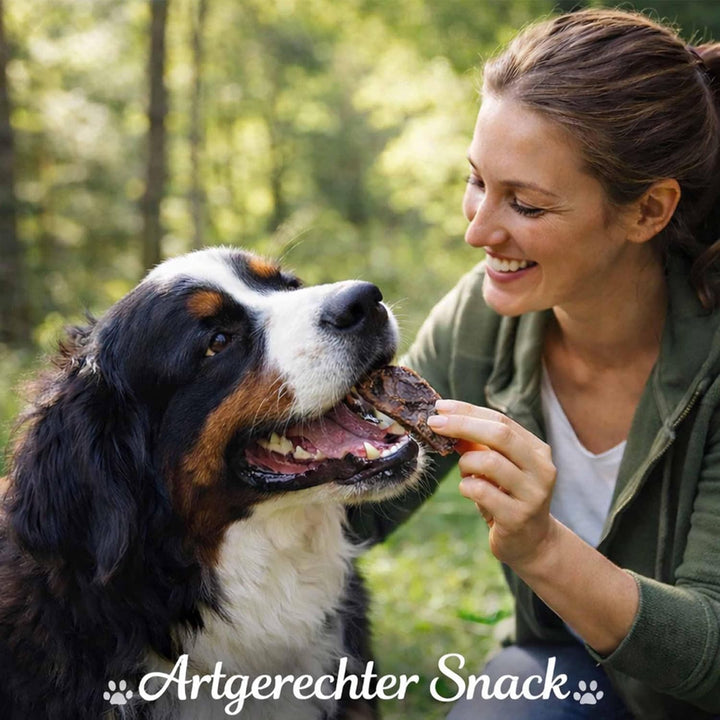 Zoofirst 10 kg Rinderlunge Lunge getrocknet fettarm Hundefutter Snack Leckerli Kauartikel