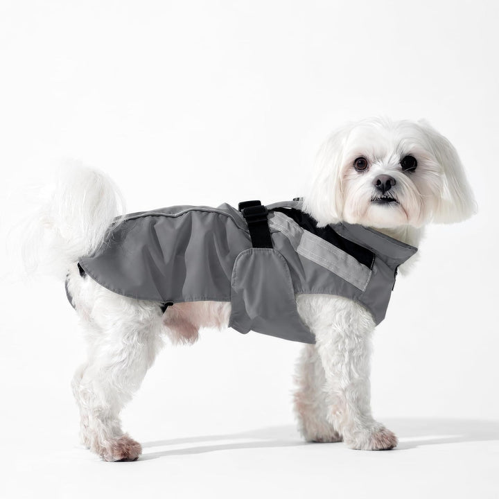 DOGOPAL Regenmantel Hund wasserdicht für kleine &amp; grosse Hunde - Gelber Hunderegenmantel mit Reflekt