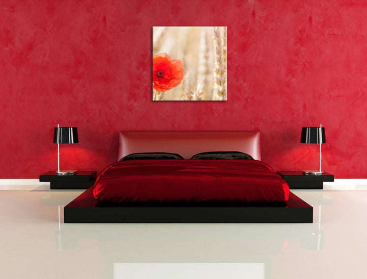 Mohnblume im Kornfeld, Format: 70x70 auf Leinwand, XXL riesige Bilder fertig gerahmt mit Keilrahmen,