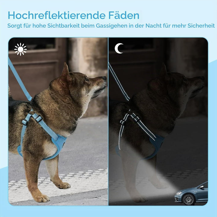 BELLA & PAL Hundegeschirr und Leine Set, Step-in Design mit atmungsaktivem Air-Mesh, reflektierenden