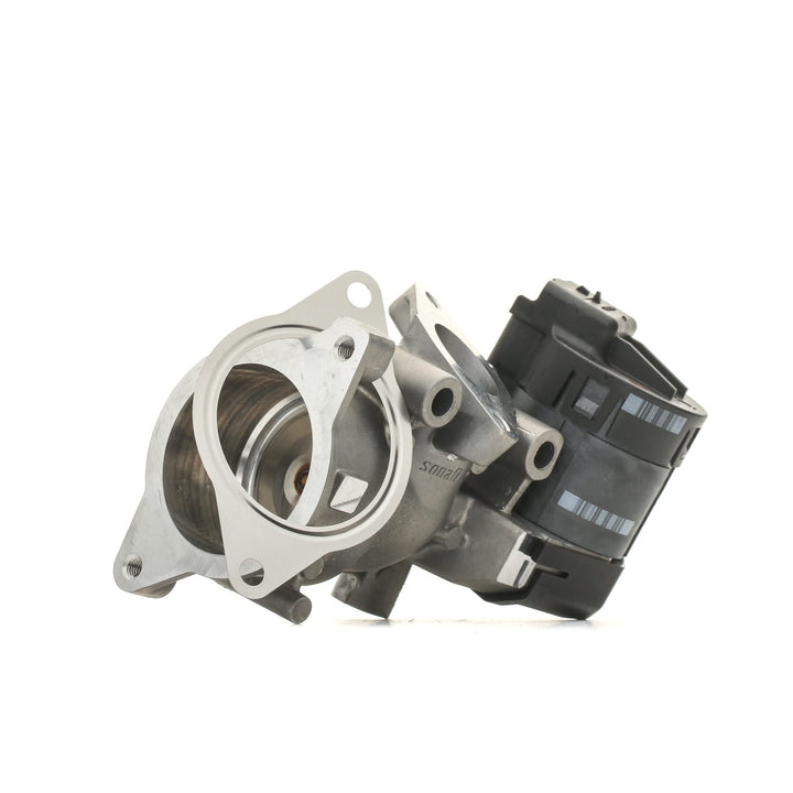 Delphi EG10396-12B1 Agr-Ventil