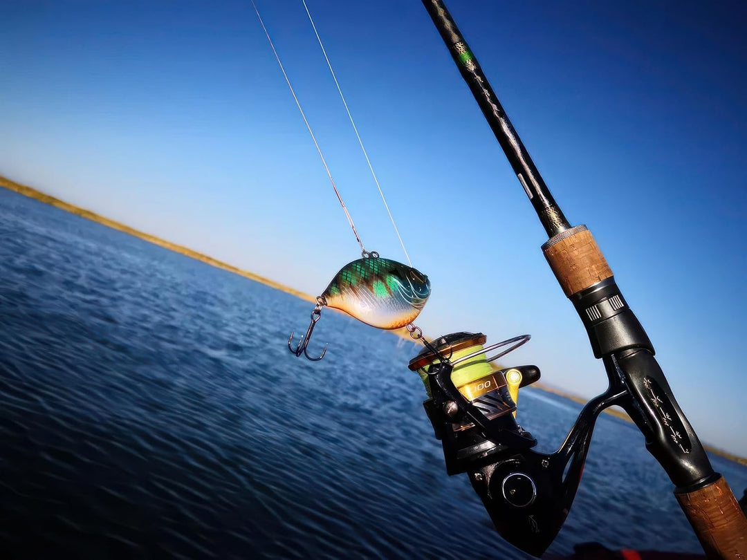 DK5 Lipless Crankbaits for Bass Fishing Lures, Sinking Deep Diving Crank Bait, VIB, BKK Hooks, Pro T