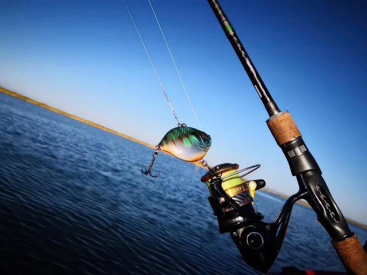 DK5 Lipless Crankbaits for Bass Fishing Lures, Sinking Deep Diving Crank Bait, VIB, BKK Hooks, Pro T