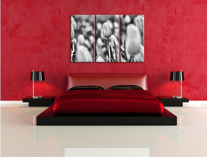 Pixxprint Gelbe Tulpen im Frühling als Leinwandbild/Grösse: 3 Teilig (120x80) cm/Wandbild/Kunstdruck