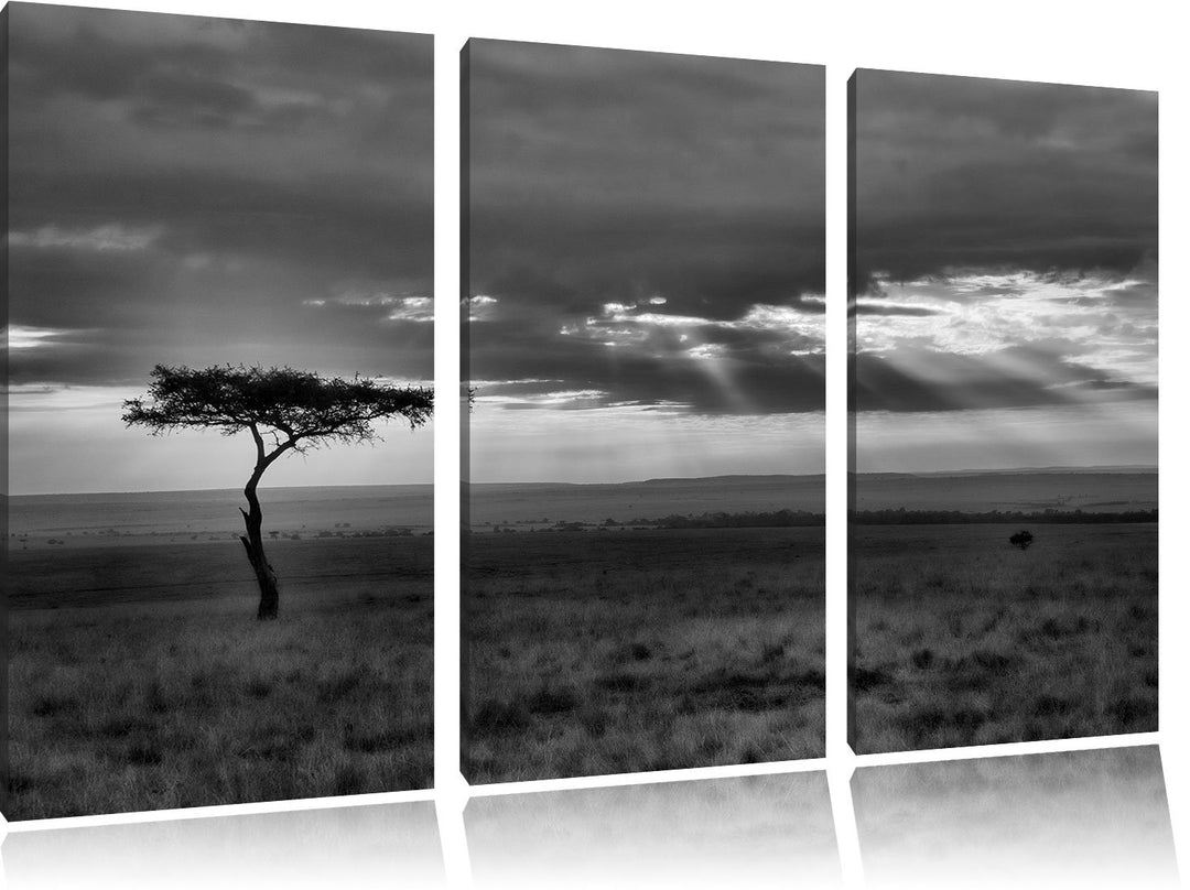Pixxprint Monocrome, Sonneneinfall in die Savanne 3-Teiler Leinwandbild 120x80 Bild auf Leinwand
