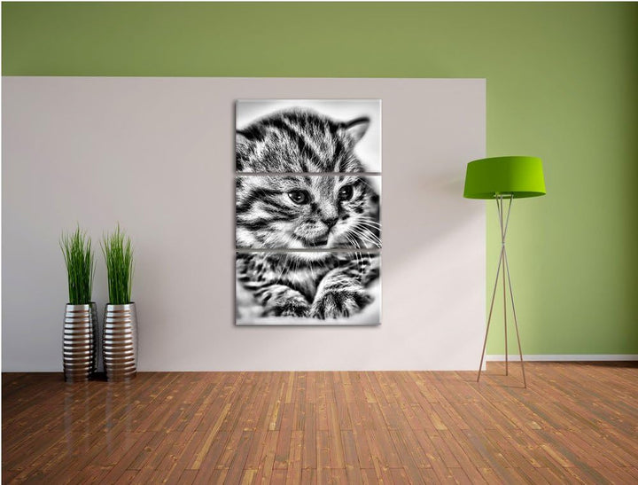 Pixxprint kleines Kätzchen auf weisser Decke als Leinwandbild/Grösse: 3 Teilig (120x80) / Wandbild/K