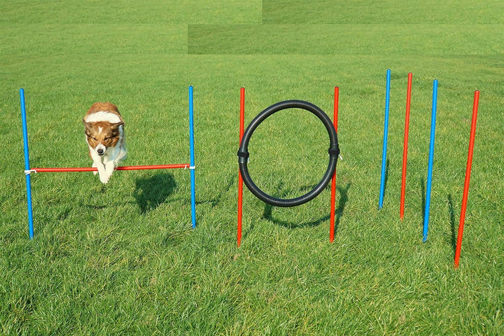 Wuzzmann Agility-Beginner-Set ROT/BLAU