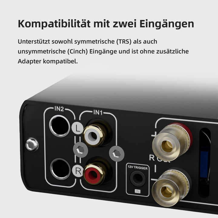 Topping Mini300 HiFi-Verstärker, Vollständig symmetrischer 140W Kompakt-Class-D Stereo-Verstärker, R