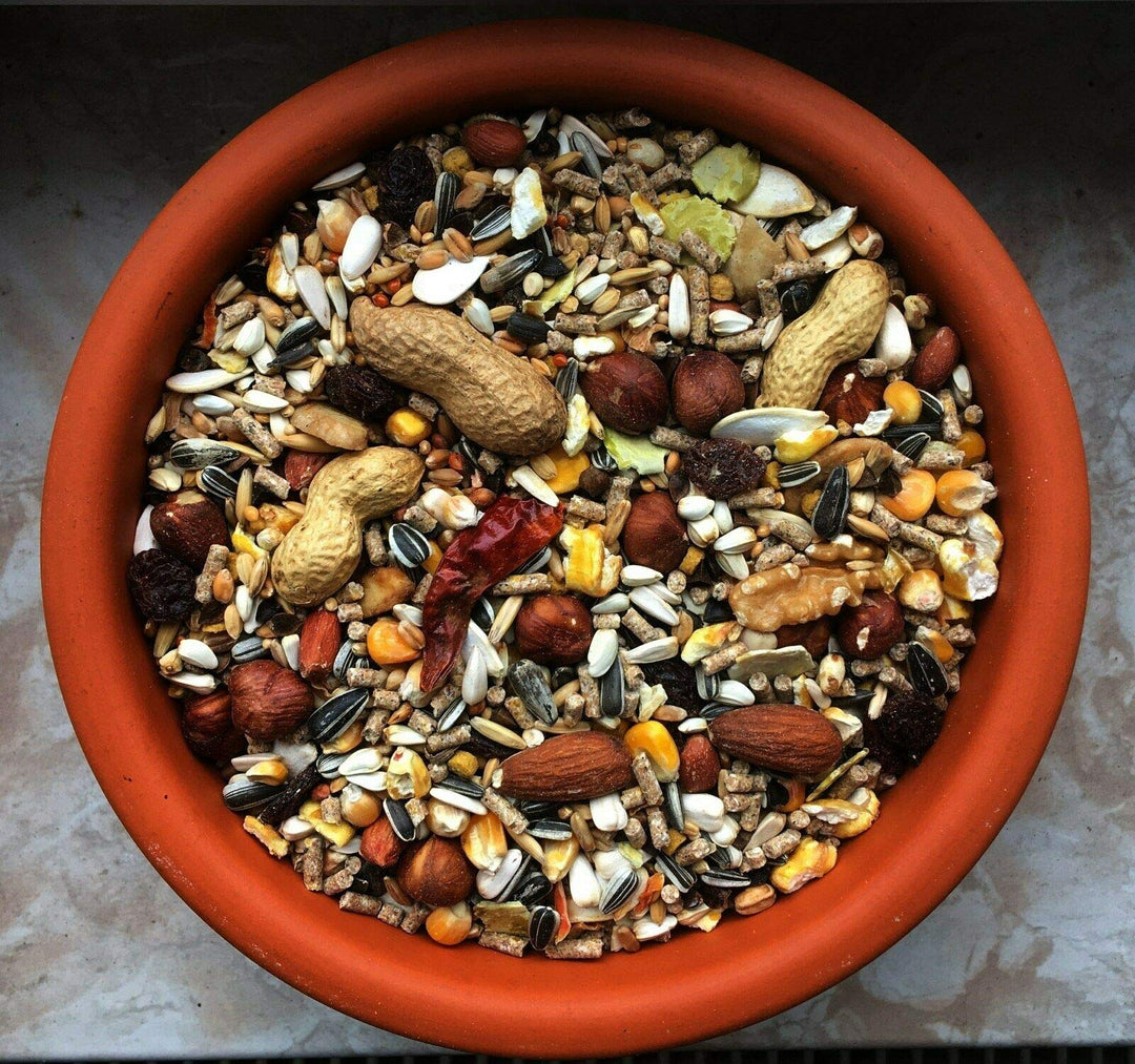 cura-canin 5 kg natürliches Eichhörnchen Futter in Premium Qualität Eichhörnchenfutter der Spitzenkl