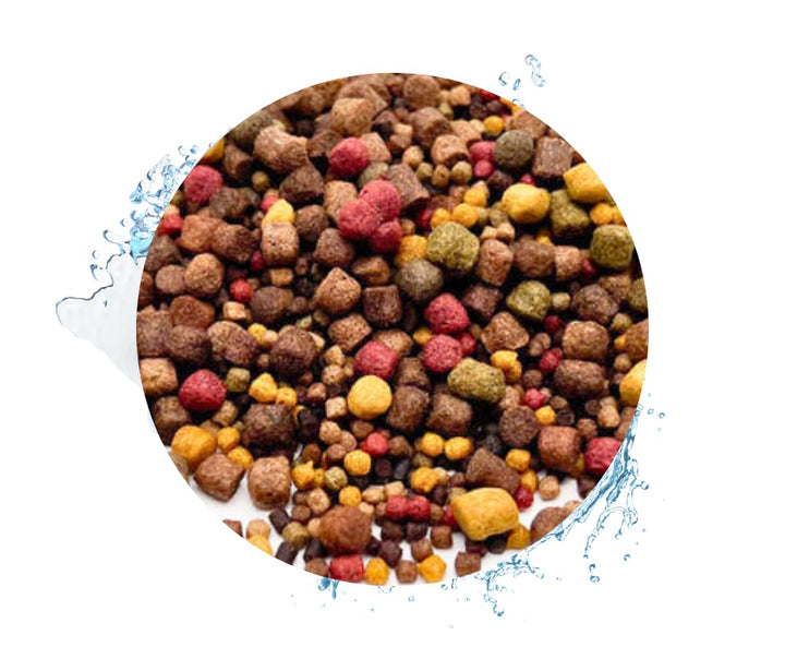 KOI - KOIFUTTER 5-Sorten-Mix 20KG mit Paprika + Spirulina von Warnick´s Tierfutterservice (3-6mm) 20