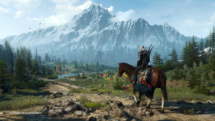 Videogioco Bandai Namco The Witcher 3 Wild Hunt Complete Edition