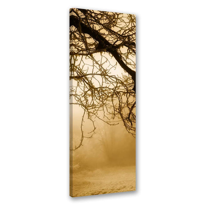 Feeby Leinwand Bilder - Natur - Wald - 40x100 cm- Deko Wohnzimmer - Wandbilder Schlafzimmer - Deko A