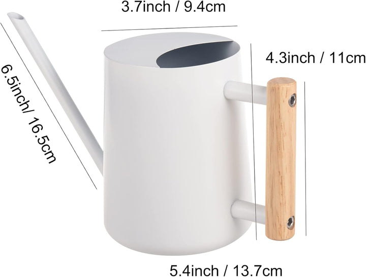 IMEEA Giesskanne Klein 1L Giesskanne Edelstahl Indoor & Outdoor Giesskanne mit langem Auslauf Bewäss