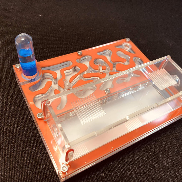 Ant Farm Educational Formicarium für LIVE Ameisen Reagenzglas Feuchtigkeit grosser Raum Acryl Ameise