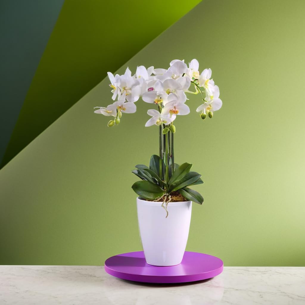 Santino 4er-Set Orchideentopf D 12cm Selbstbewässernder Topf mit Dochtsystem und Wasserstandsanzeige