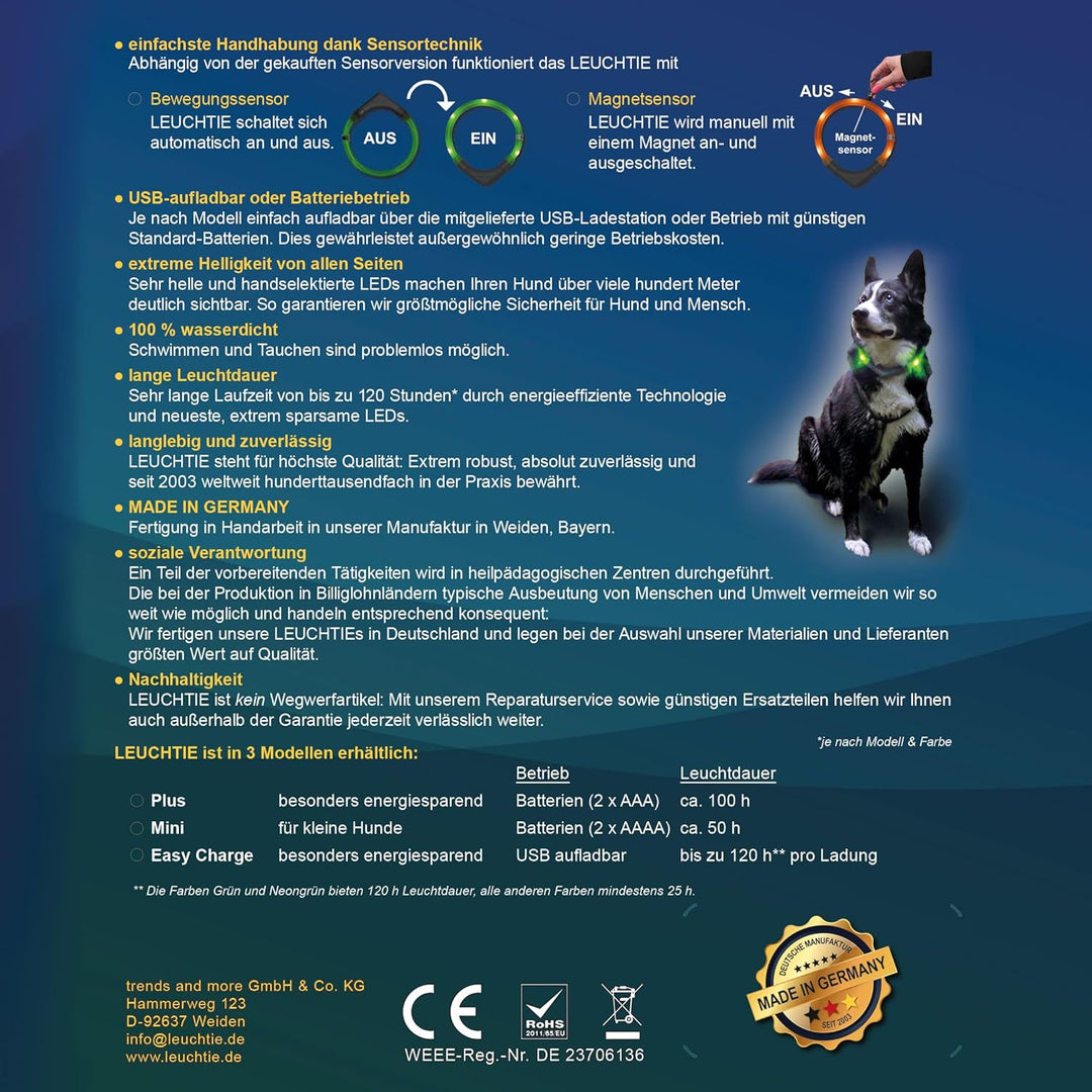 LEUCHTIE® Leuchthalsband Plus türkis Grösse 55 I LED Halsband für Hunde I 100 h Leuchtdauer I wasser