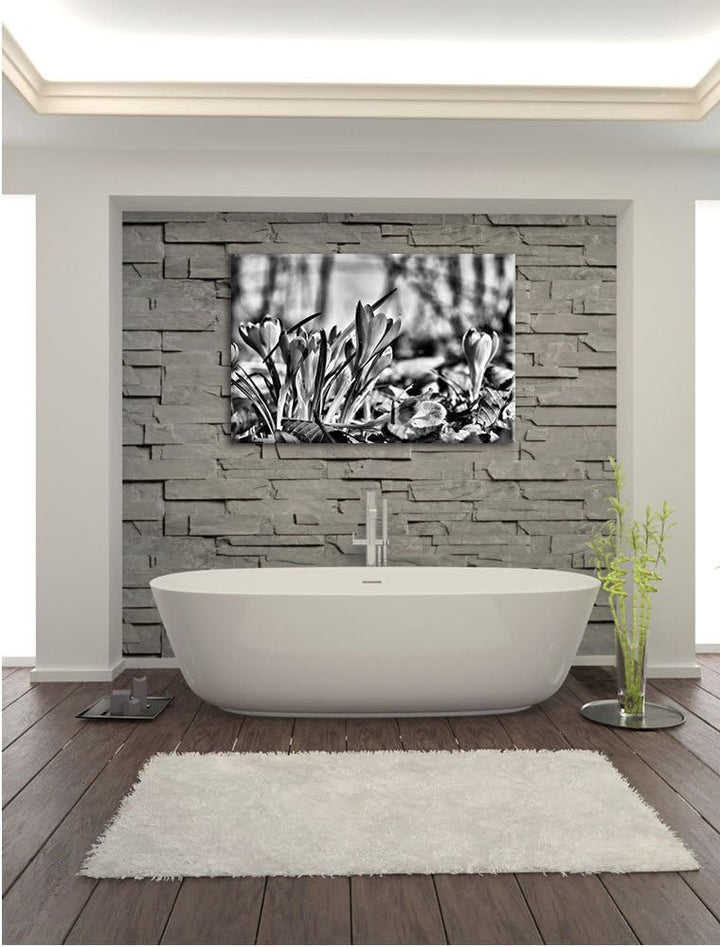 Pixxprint Exotische lila Krokusse / 100x70cm Leinwandbild bespannt auf Holzrahmen/Wandbild Kunstdruc