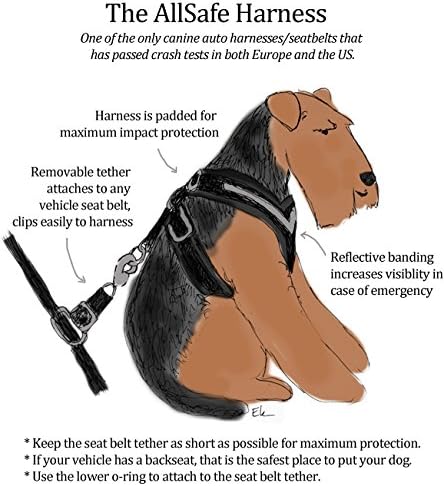 KLEINMETALL Allsafe Gürtel der Sicherheit für Hunde, Schwarz, Grösse M, M