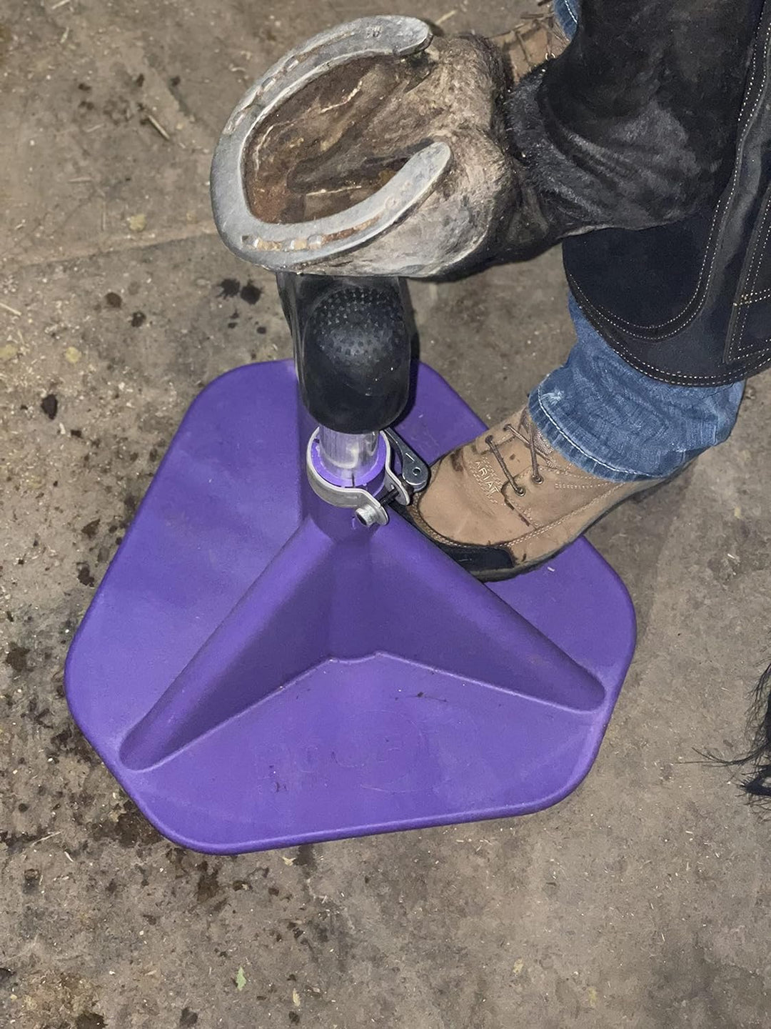 HOOF-IT Blacksmith Standard Hufständer lila