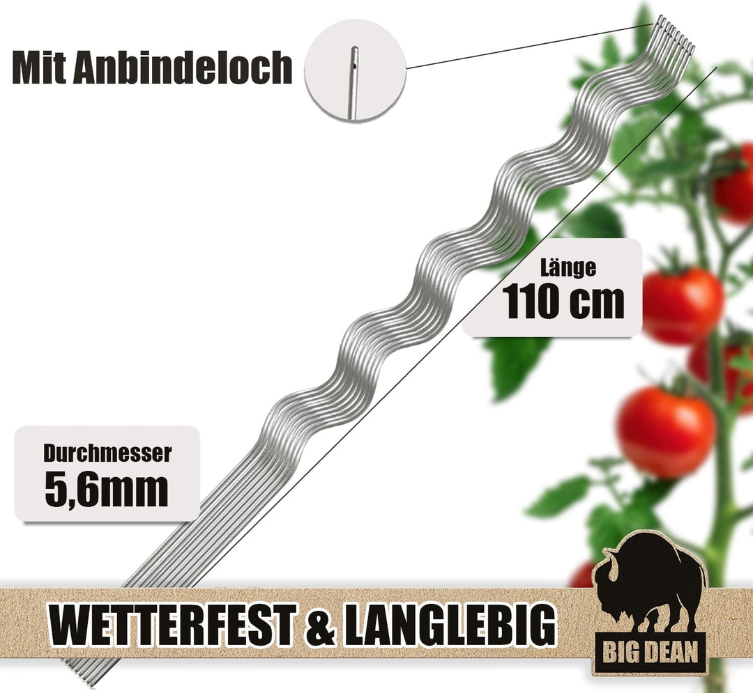 BigDean 10 Tomatenspiralstäbe 110cm voll verzinkt Tomatenstab Tomaten Ranke Pflanzstab Stahl Profi Q
