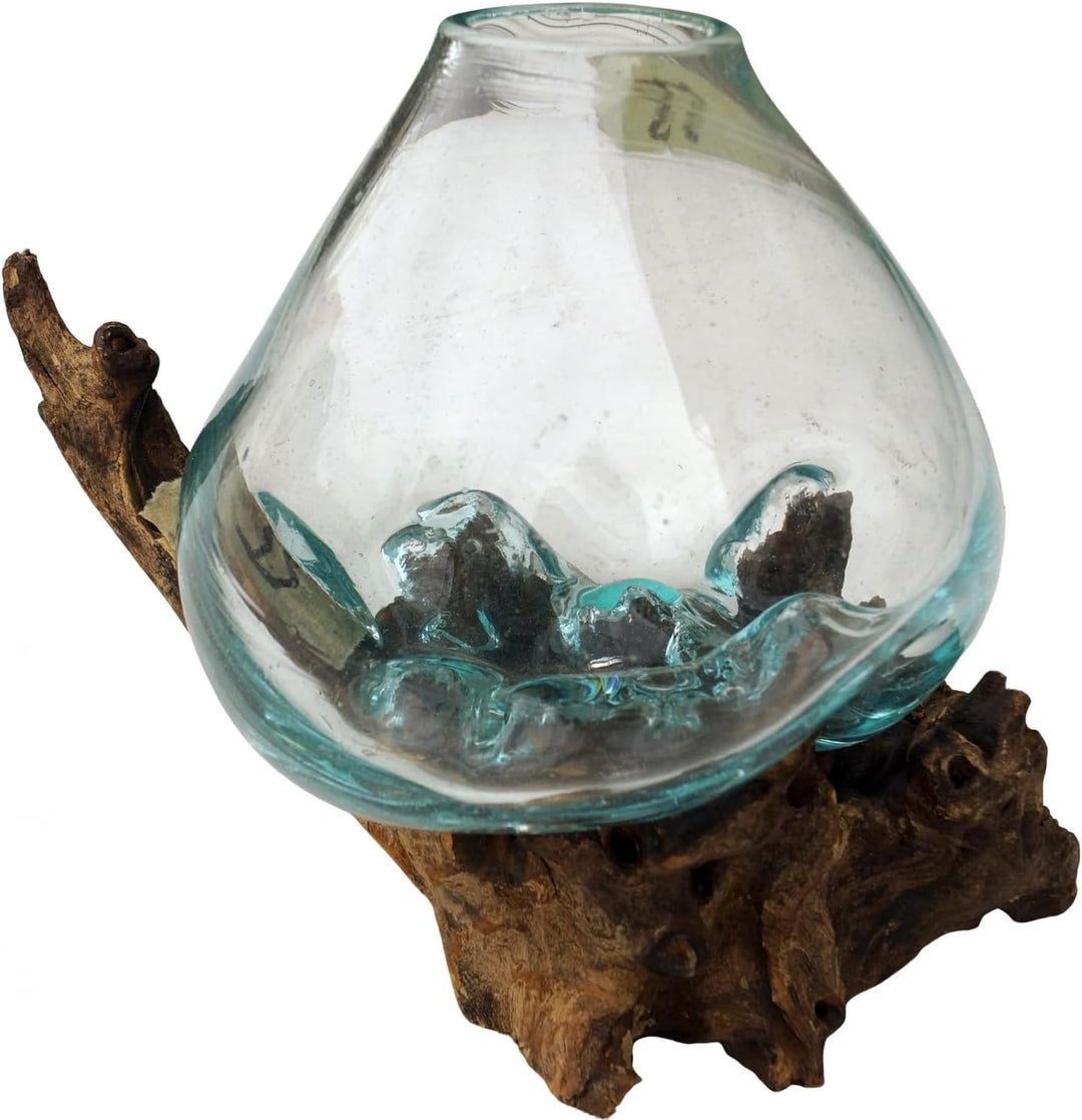 GURU SHOP Wurzelholz Vase - Ø Glas bis 20 cm M1, Braun, Vasen &amp; Blumentöpfe