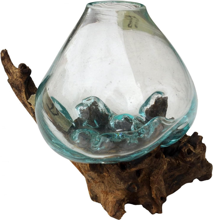 GURU SHOP Wurzelholz Vase - Ø Glas bis 20 cm M1, Braun, Vasen &amp; Blumentöpfe