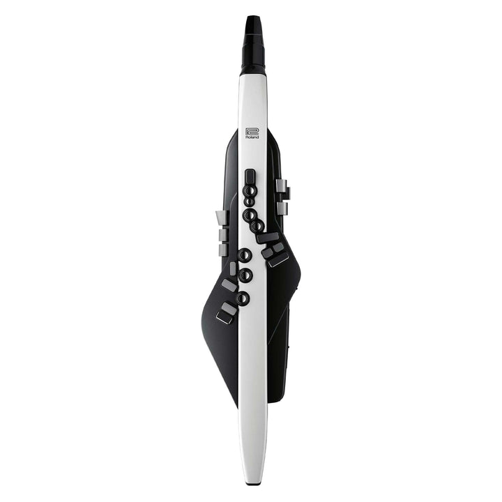 Roland Aerophone AE-20 Digitales Blasinstrument Schwarz