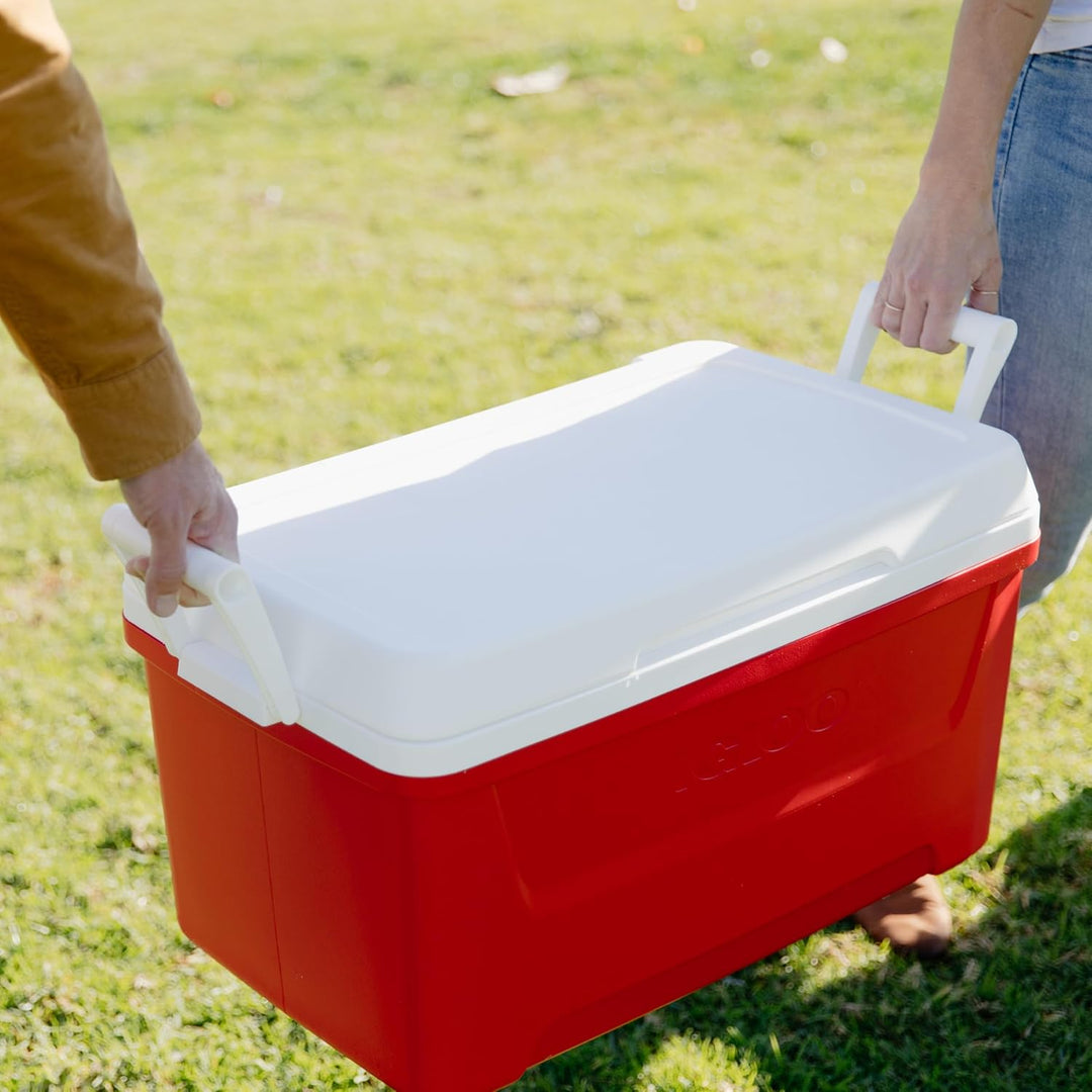 Igloo Passive Mini-Kühlbox Laguna 45 Liter, 45 Liter
