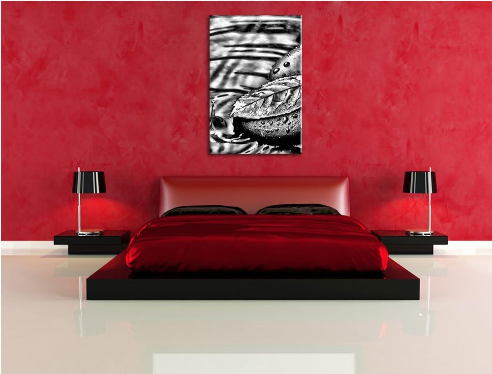 Pixxprint Stein mit Blatt als Leinwandbild | Grösse: 100x70 | Wandbild| Kunstdruck | fertig bespannt