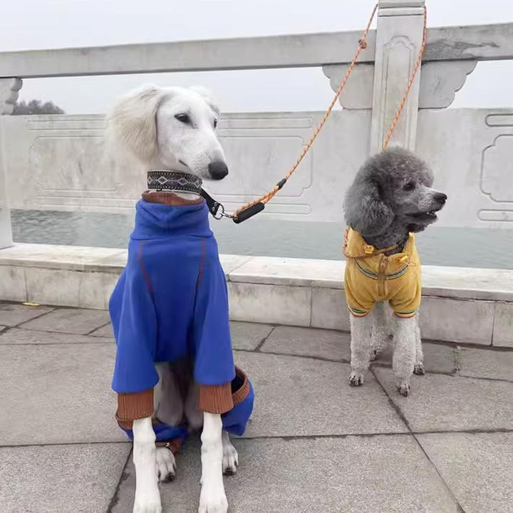 Windhund-Winterkleidung, elastisch, Whippet, vierbeinig, Fleece-Mantel, schlanker Hund, kaltes Wette