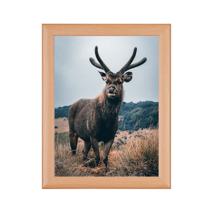 Rahmendesign24 Posterrahmen Fiona 59,4x84 (DIN A1) Buche Fotorahmen, Wechselrahmen, Bilderrahmen, 59