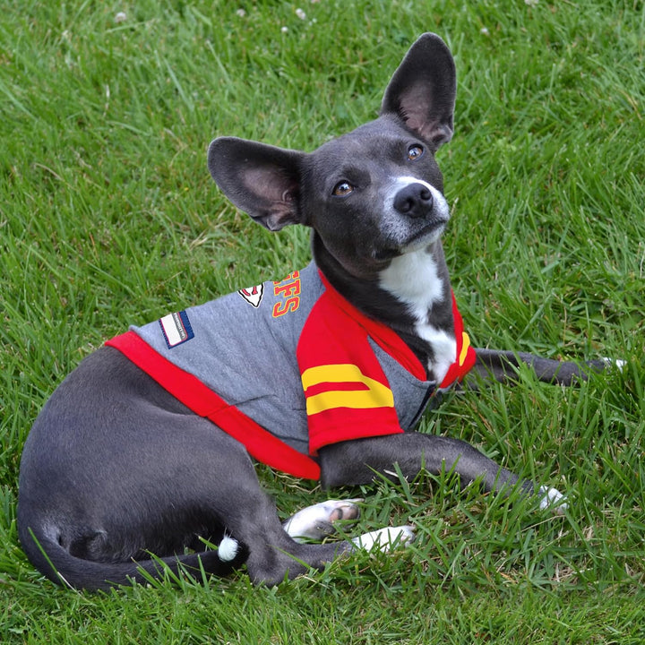 Pets First KCC-4044-XS NFL Kansas City Chiefs Hoodie für Hunde & Katzen | NFL Football Licensed Dog
