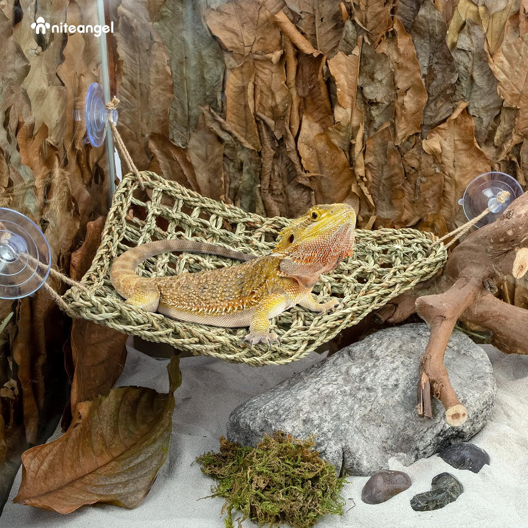 Niteangel Hängematte für Bartagamen: Liegeplatz für Chamäleons, Eidechsen, Geckos, Schlangen, Leguan