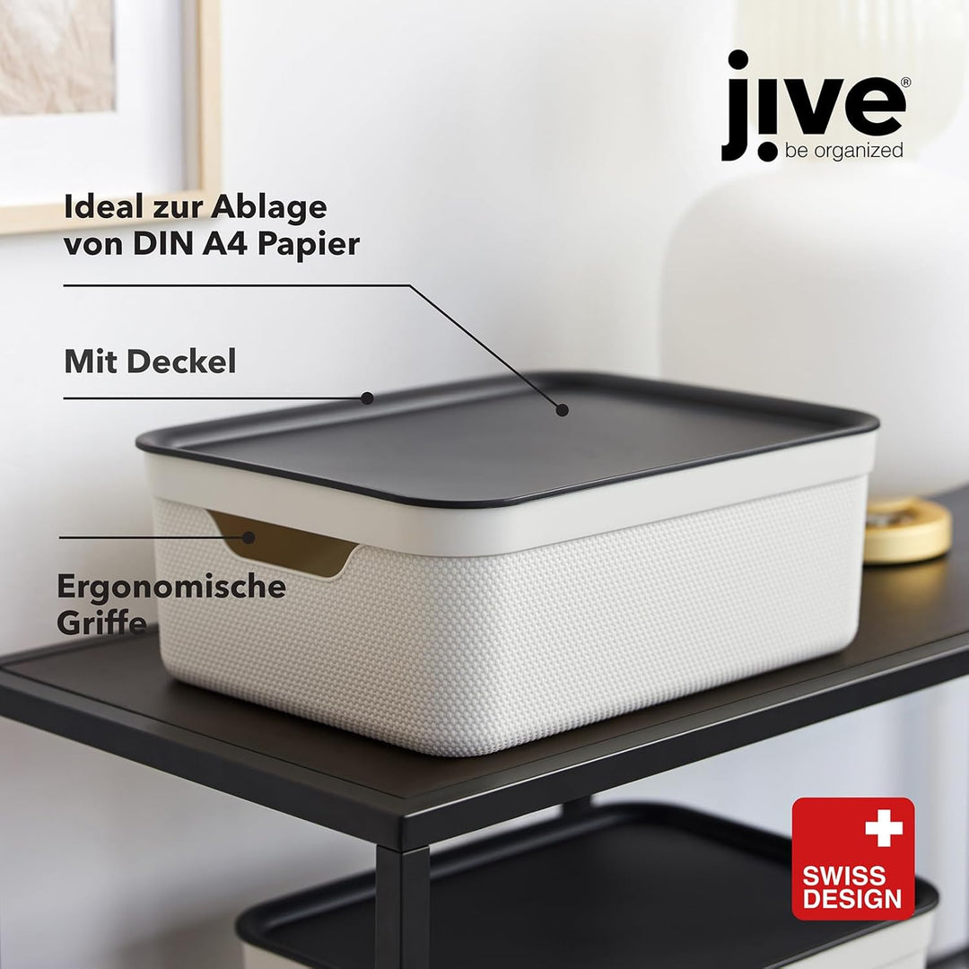 Rotho Jive 3er-Set Aufbewahrungsbox 10l mit Deckel Grün, Grün