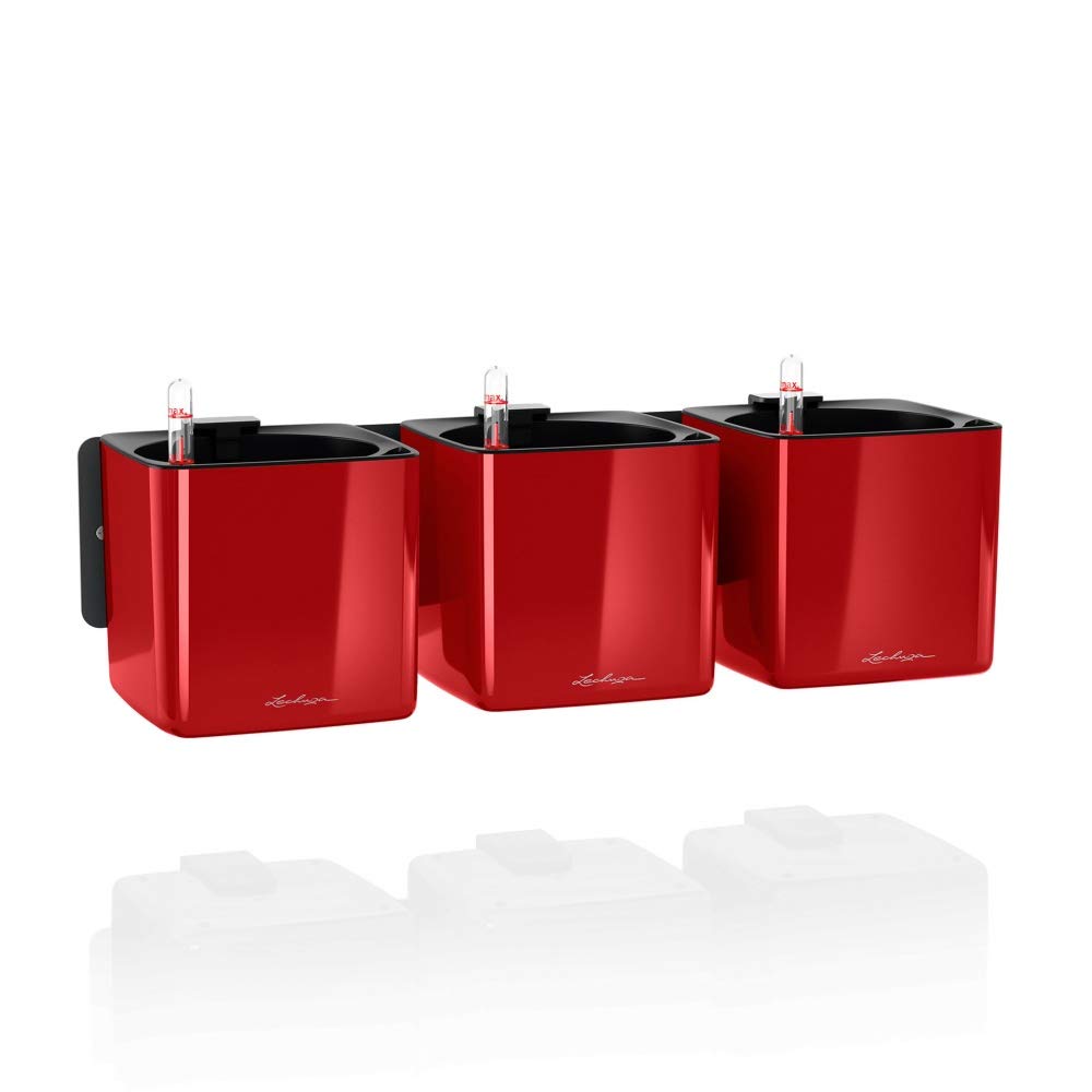 LECHUZA CUBE Glossy Green Wall Home Kit scarlet rot highgloss 13525 48x14x10 cm Scarlet Rot Highglos