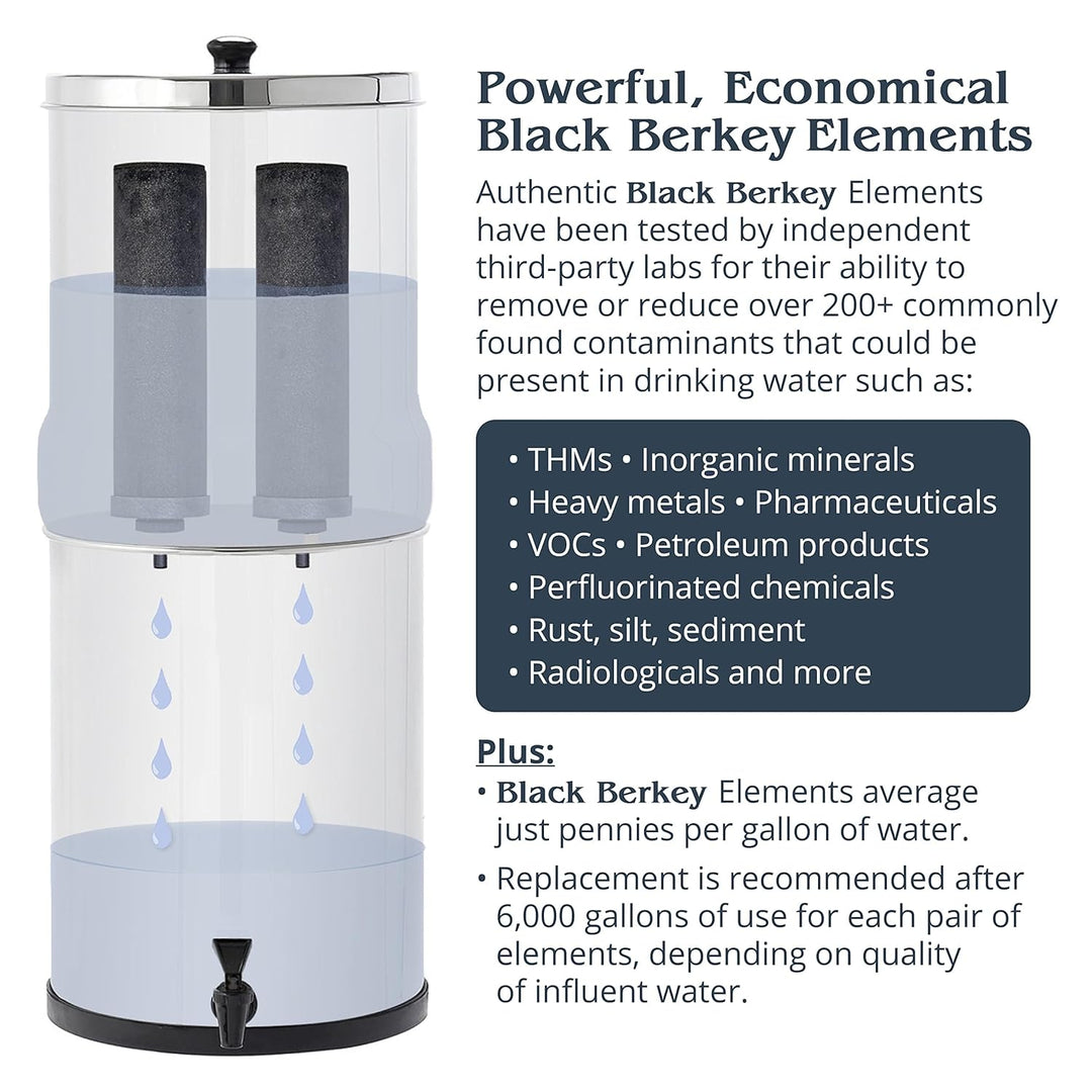 Berkey BK4X2-BB Big Berkey Stainless Steel Water Filtration System with 2 Black Filter Elements by