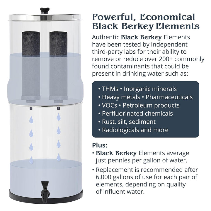 Berkey BK4X2-BB Big Berkey Stainless Steel Water Filtration System with 2 Black Filter Elements by