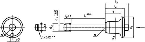 HALDER 22340.0254 Kugelsperrbolzen, d1=10 mm / l1=80 mm / Rostfreier Stahl 1.4305, Schwarz Rostfreie