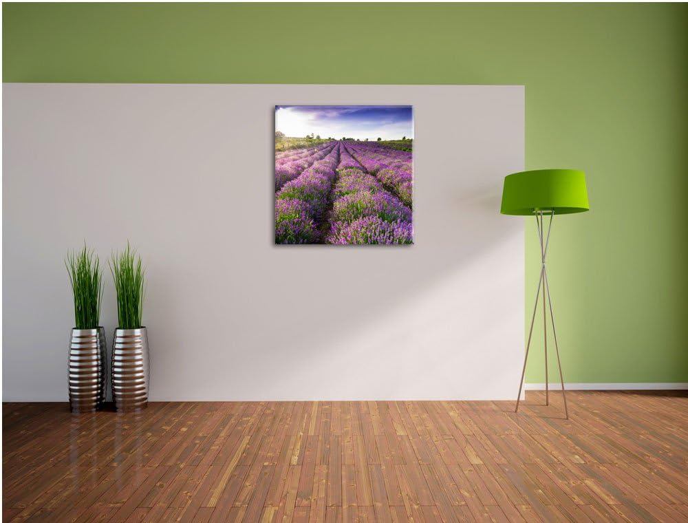 Lavendelfeld Provence, Format: 70x70 auf Leinwand, XXL riesige Bilder fertig gerahmt mit Keilrahmen,