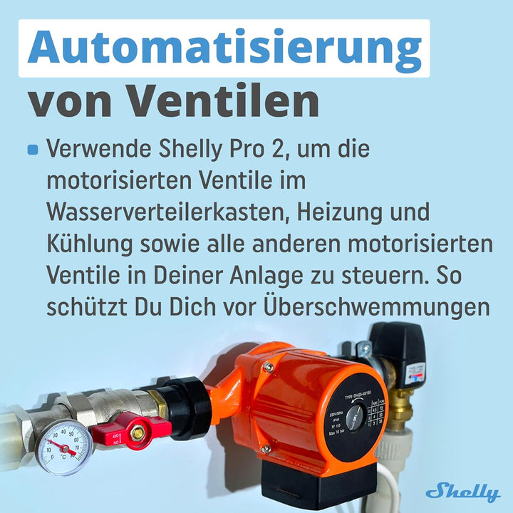 Shelly Pro 2 | Wlan, LAN &amp; Bluetooth 2 Kanäle Smart Relais | Haus- &amp; Gebäudeautomation |Alexa &amp; Goog
