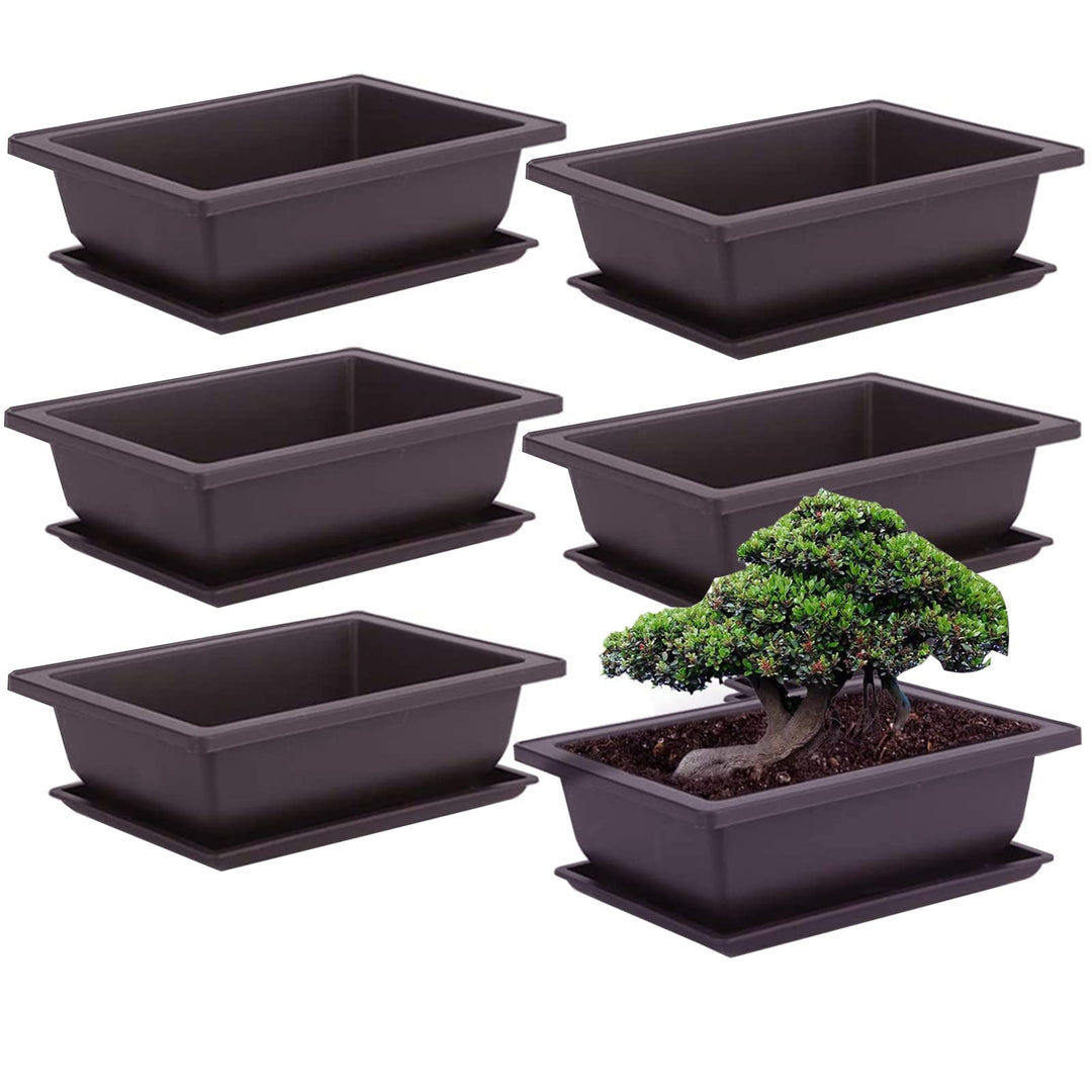 6 Stück Bonsai-Trainingstöpfe mit Tablett Rechteck Blumentopf Bonsai Schale Sukkulenten Klein Pflanz