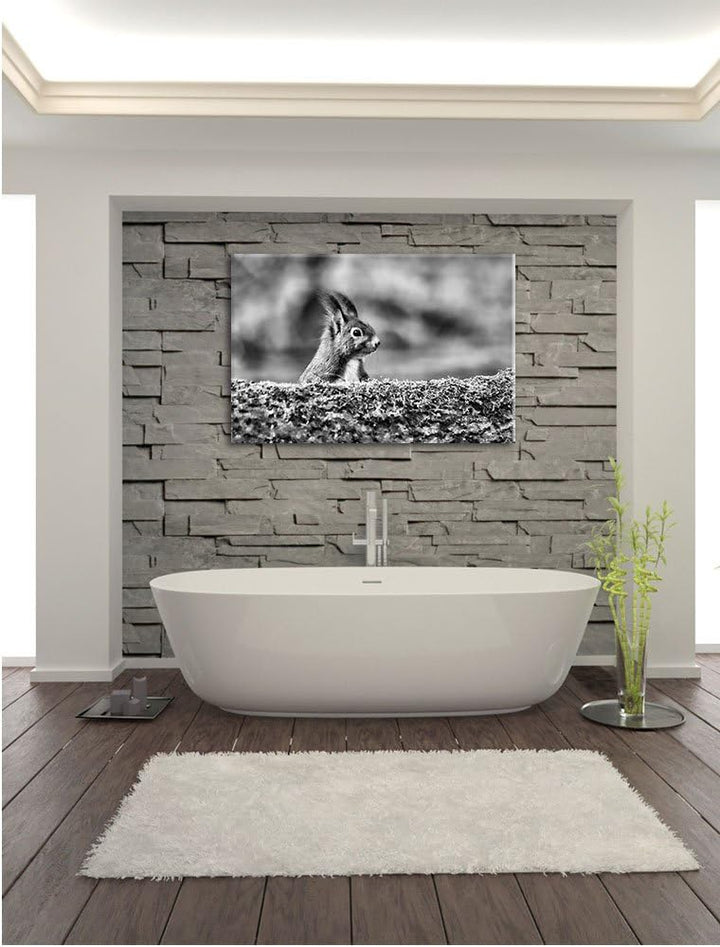Pixxprint Eichhörnchen hinter Baumstamm als Leinwandbild/Grösse: 100x70 / Wandbild/Kunstdruck/fertig
