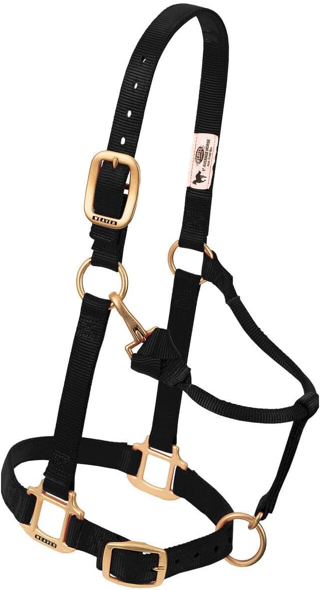 Weaver Leather Original verstellbares Nylonhalfter für Pferde S Horse Violett, S Horse Violett