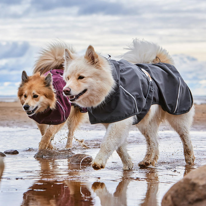 Mudventure Hundemantel ECO Regenjacke für Hunde (Blackberry, 40) 40 Blackberry, 40 Blackberry