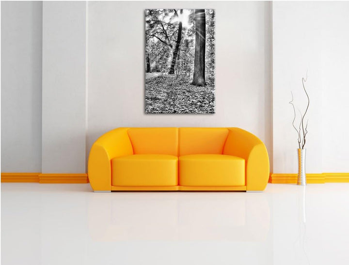 Pixxprint Sonnenstrahlen auf Waldlichtung als Leinwandbild/Grösse: 100x70 cm/Wandbild/Kunstdruck/fer