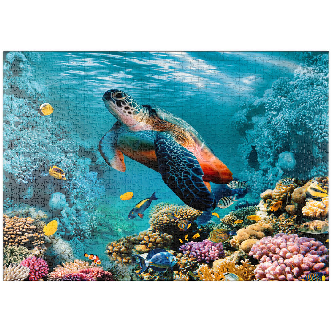 Unterwasserwelt mit Schildkröte und Korallen - Premium 1000 Teile Puzzle - MyPuzzle Sonderkollektion