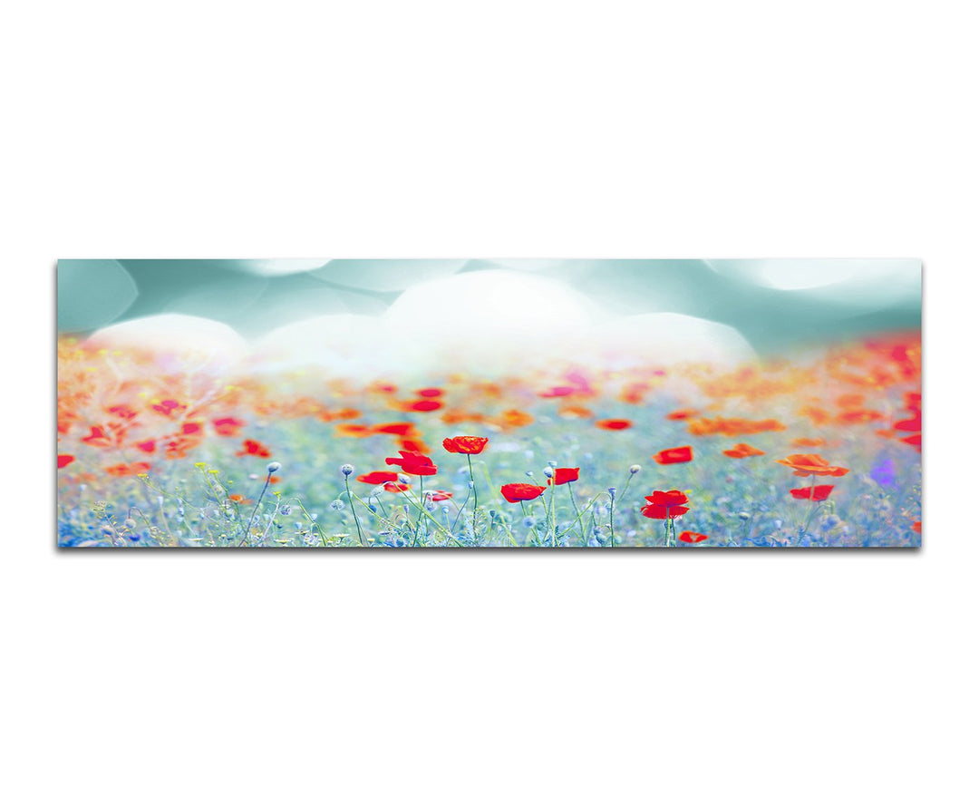 Paul Sinus Art Panoramabild auf Leinwand und Keilrahmen 150x50cm Mohnblumen Wiese Sommer Sonnenunter